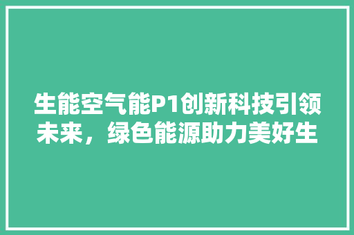 生能空气能P1创新科技引领未来，绿色能源助力美好生活 热水器