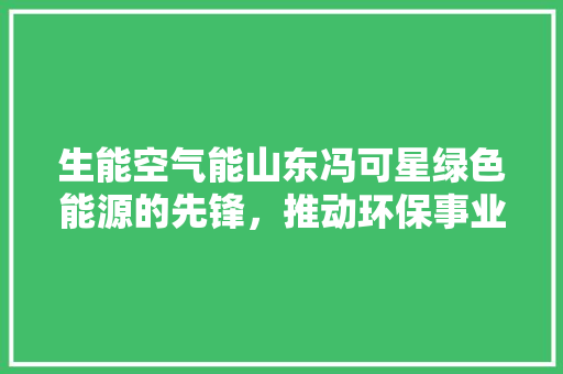 生能空气能山东冯可星绿色能源的先锋，推动环保事业的未来 空调