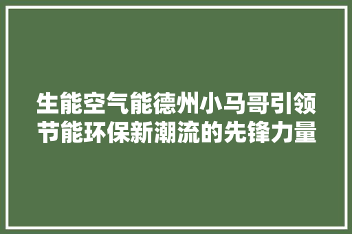 生能空气能德州小马哥引领节能环保新潮流的先锋力量 家居维修