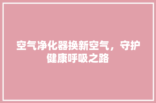 空气净化器换新空气，守护健康呼吸之路 洁具维修