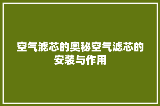 空气滤芯的奥秘空气滤芯的安装与作用 空调
