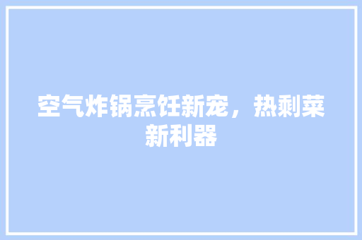 空气炸锅烹饪新宠，热剩菜新利器 家居维修