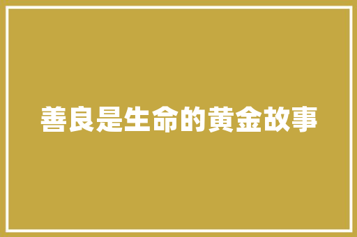 空气能一天能装几台空气能设备的高效安装与广泛应用 局部翻新