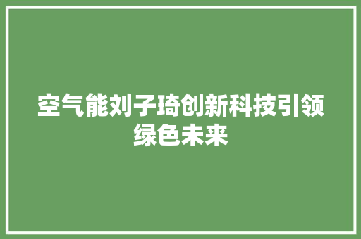 空气能刘子琦创新科技引领绿色未来 旧房改造