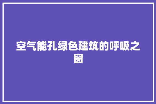 空气能孔绿色建筑的呼吸之窗 空调