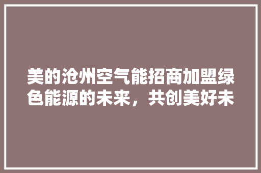 美的沧州空气能招商加盟绿色能源的未来，共创美好未来 洁具维修