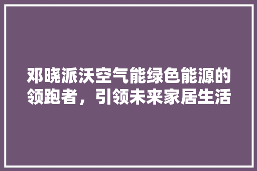邓晓派沃空气能绿色能源的领跑者，引领未来家居生活新潮流 热水器