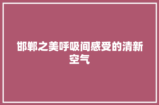 邯郸之美呼吸间感受的清新空气 冰箱
