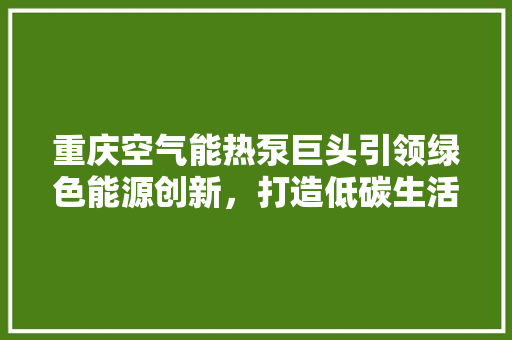 重庆空气能热泵巨头引领绿色能源创新，打造低碳生活新风尚 洗衣机