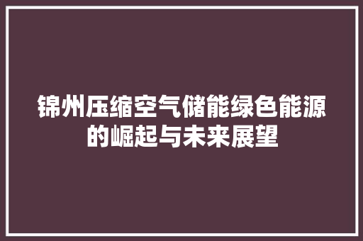锦州压缩空气储能绿色能源的崛起与未来展望 热水器