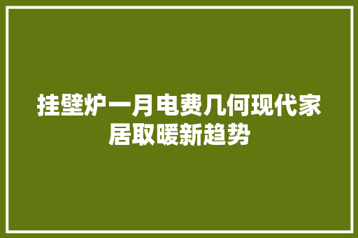 挂壁炉一月电费几何现代家居取暖新趋势 龙头管件