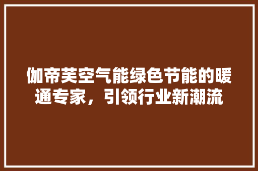 伽帝芙空气能绿色节能的暖通专家，引领行业新潮流 旧房改造