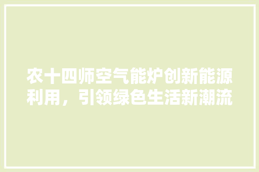 农十四师空气能炉创新能源利用，引领绿色生活新潮流 家电维护