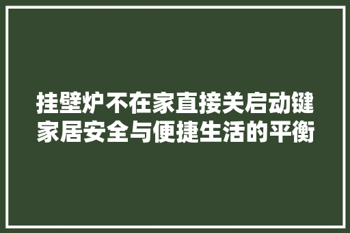 挂壁炉不在家直接关启动键家居安全与便捷生活的平衡之路 龙头管件