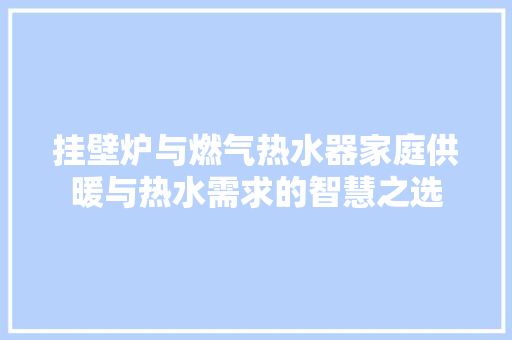 挂壁炉与燃气热水器家庭供暖与热水需求的智慧之选 洁具维修