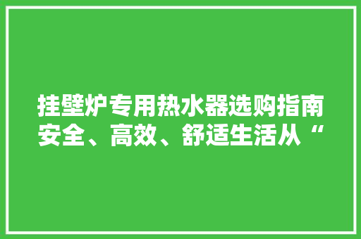 挂壁炉专用热水器选购指南安全、高效、舒适生活从“芯”开始 洗衣机 挂壁炉专用热水器选购指南安全、高效、舒适生活从“芯”开始 洗衣机