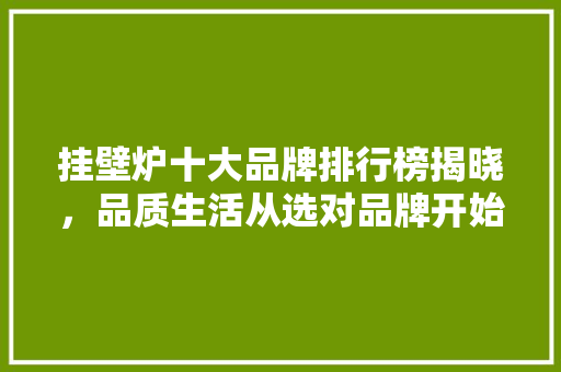 挂壁炉十大品牌排行榜揭晓，品质生活从选对品牌开始 旧房改造