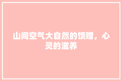 山间空气大自然的馈赠，心灵的滋养 清洁保养