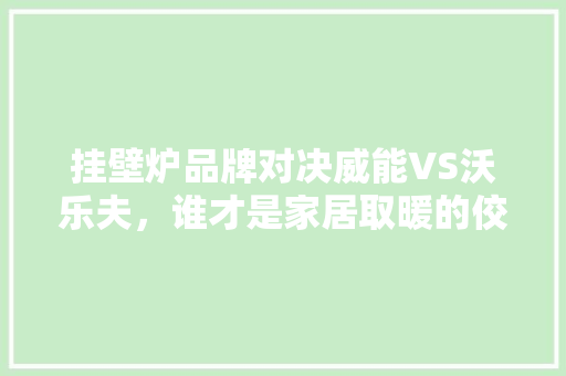 挂壁炉品牌对决威能VS沃乐夫，谁才是家居取暖的佼佼者 清洁保养