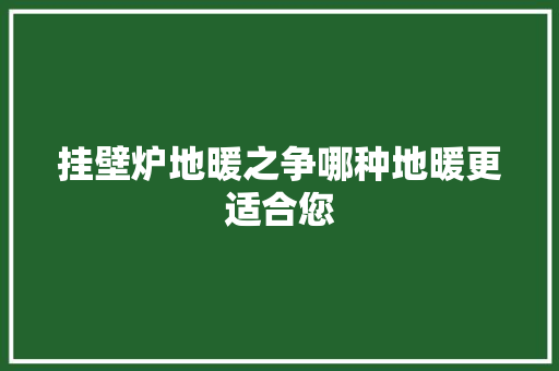 挂壁炉地暖之争哪种地暖更适合您 灯具安装