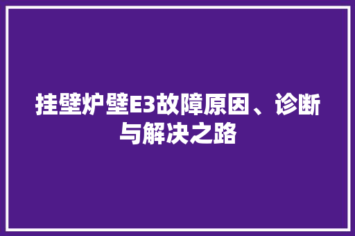 挂壁炉壁E3故障原因、诊断与解决之路 热水器