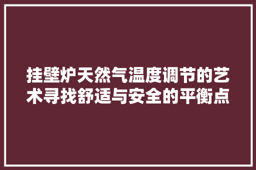 挂壁炉天然气温度调节的艺术寻找舒适与安全的平衡点 水电维修