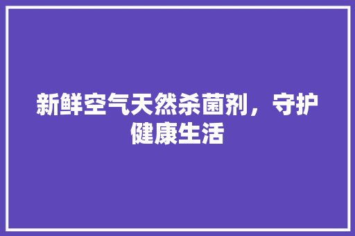 新鲜空气天然杀菌剂，守护健康生活 空调