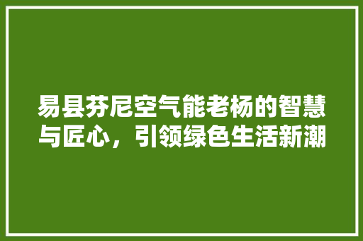 易县芬尼空气能老杨的智慧与匠心，引领绿色生活新潮流 家电维护