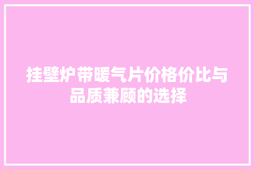 挂壁炉带暖气片价格价比与品质兼顾的选择 冰箱