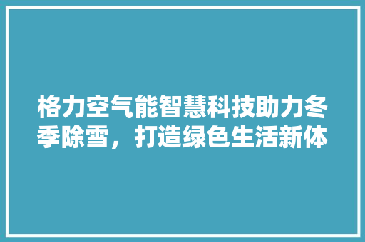 格力空气能智慧科技助力冬季除雪，打造绿色生活新体验 翻新改色