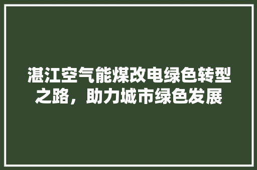 湛江空气能煤改电绿色转型之路，助力城市绿色发展 冰箱