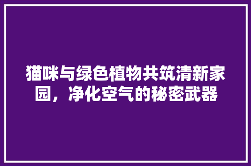 猫咪与绿色植物共筑清新家园，净化空气的秘密武器 洁具维修