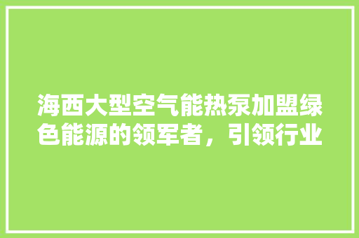 海西大型空气能热泵加盟绿色能源的领军者，引领行业新风尚 水电维修