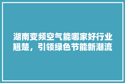 湖南变频空气能哪家好行业翘楚，引领绿色节能新潮流 家电维护
