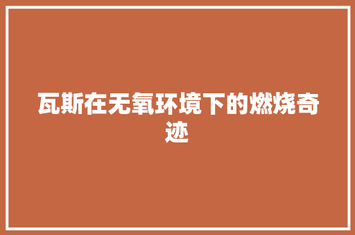 瓦斯在无氧环境下的燃烧奇迹 空调