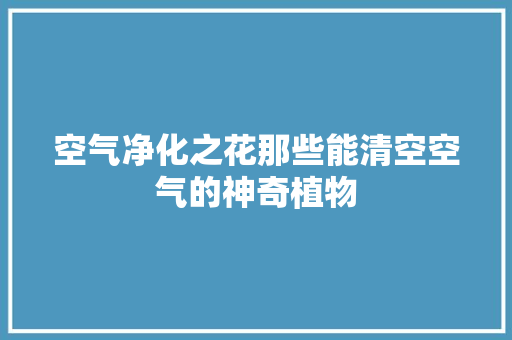 空气净化之花那些能清空空气的神奇植物 家居维修