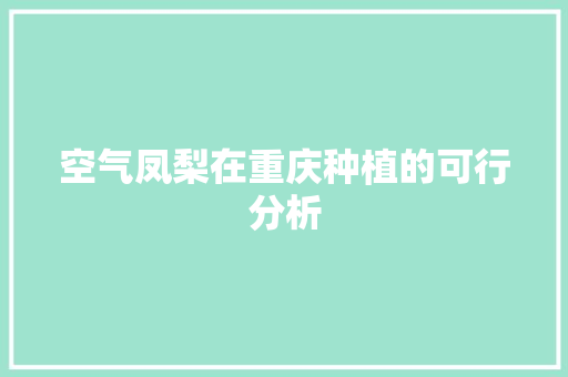 空气凤梨在重庆种植的可行分析 旧房改造