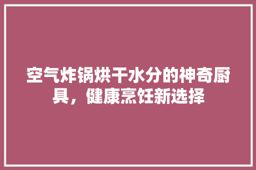 空气炸锅烘干水分的神奇厨具，健康烹饪新选择 冰箱