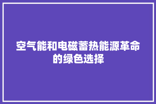 空气能和电磁蓄热能源革命的绿色选择 清洁保养
