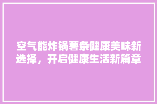 空气能炸锅薯条健康美味新选择，开启健康生活新篇章 洁具维修