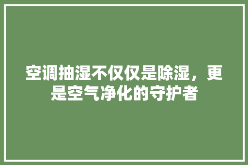 空调抽湿不仅仅是除湿，更是空气净化的守护者 洁具维修