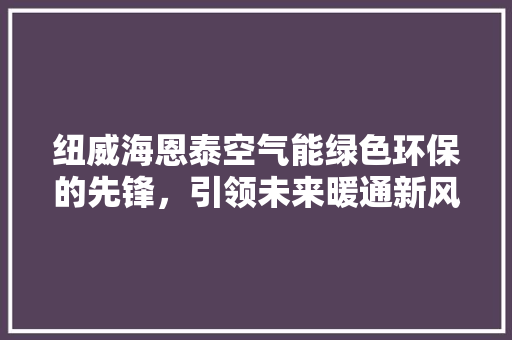 纽威海恩泰空气能绿色环保的先锋，引领未来暖通新风尚 家电维护