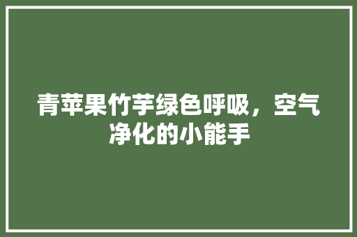 青苹果竹芋绿色呼吸，空气净化的小能手 家居维修