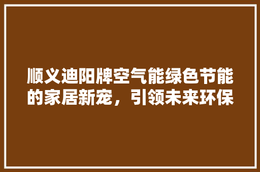 顺义迪阳牌空气能绿色节能的家居新宠，引领未来环保生活 家具修理
