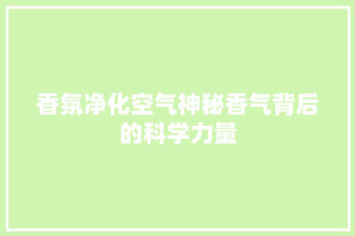 香氛净化空气神秘香气背后的科学力量 清洁保养