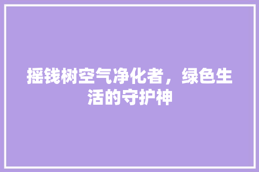 摇钱树空气净化者，绿色生活的守护神 装修设计