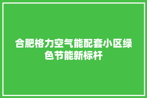 合肥格力空气能配套小区绿色节能新标杆 洗衣机 合肥格力空气能配套小区绿色节能新标杆 洗衣机
