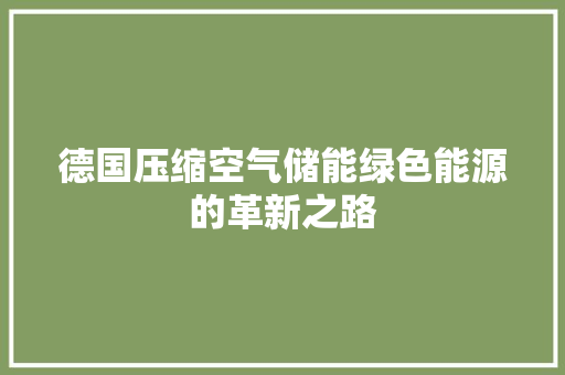 德国压缩空气储能绿色能源的革新之路 洁具维修