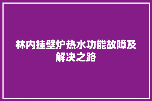 林内挂壁炉热水功能故障及解决之路 装修设计