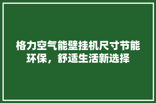 格力空气能壁挂机尺寸节能环保,舒适生活新选择 清洁保养 格力空气能壁挂机尺寸节能环保,舒适生活新选择 清洁保养